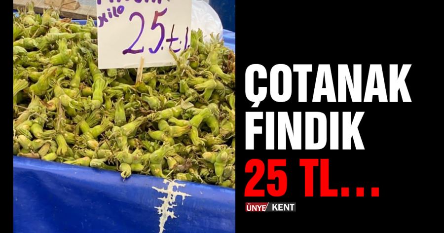 Çotanak fındık 25 TL…