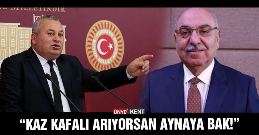  “Kaz kafalı arıyorsan aynaya bak!”