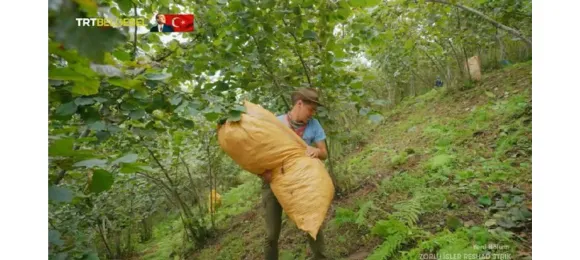 Reshad Strik, TRT’de Ordu’nun zorlu işlerini anlattı