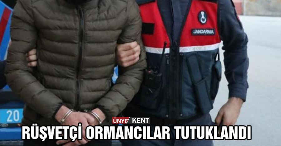  Rüşvetçi ormancılar tutuklandı