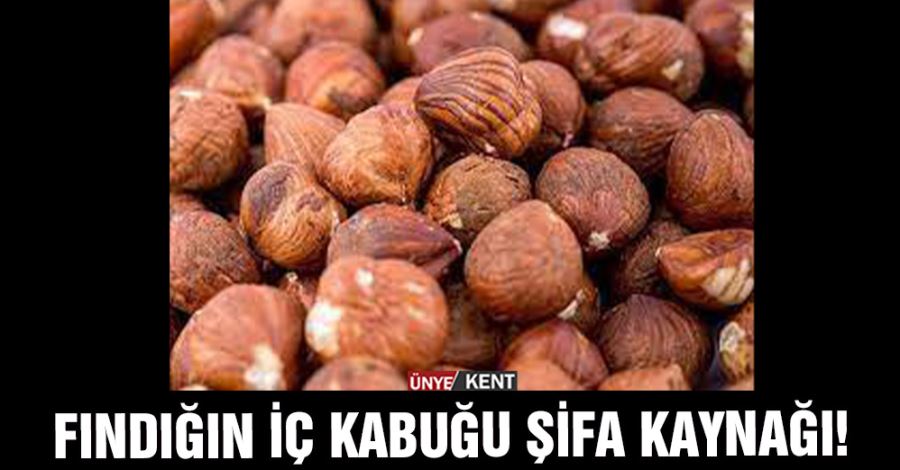 Fındığın iç kabuğu şifa kaynağı!