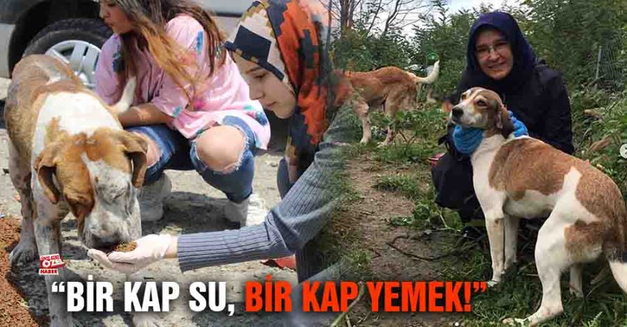 “bir Kap Su Bir Kap Yemek”