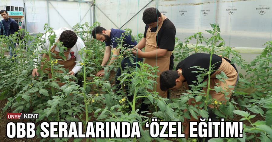 OBB seralarında ‘özel eğitim!