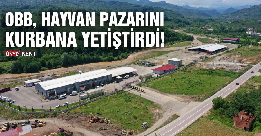   OBB, Hayvan Pazarını Kurbana yetiştirdi!