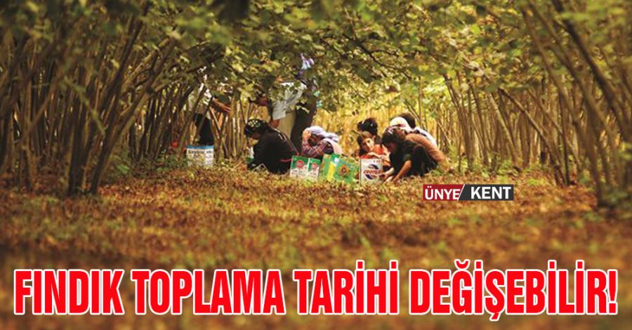 Fındık toplama tarihi değişebilir!