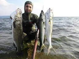  Zıpkınla gece avı yasak!