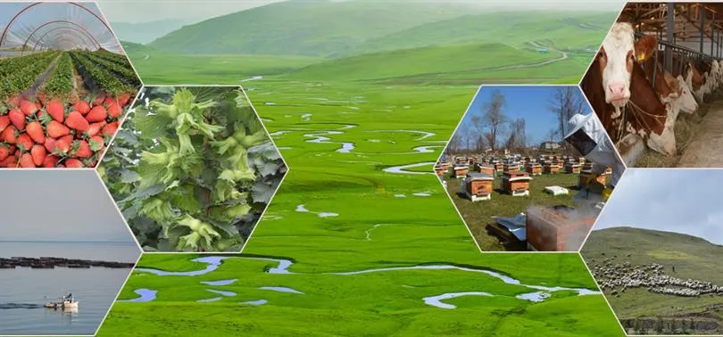 2023 yılı tarımsal destekler açıklandı