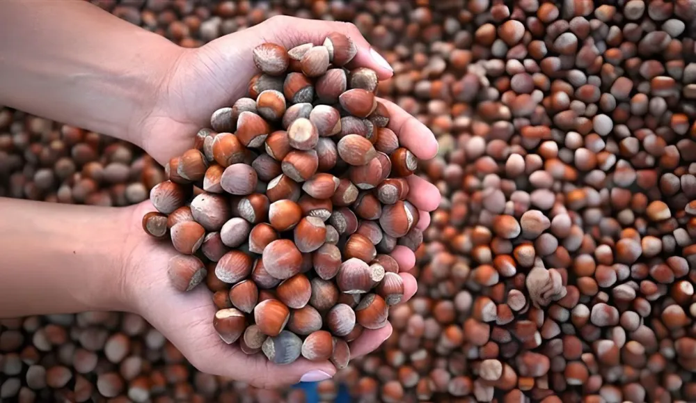 Ne yapsalar olmuyor! 110 TL’ye yükseldi…