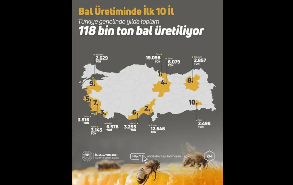  Bakanlık haritasında Ordu birinci!