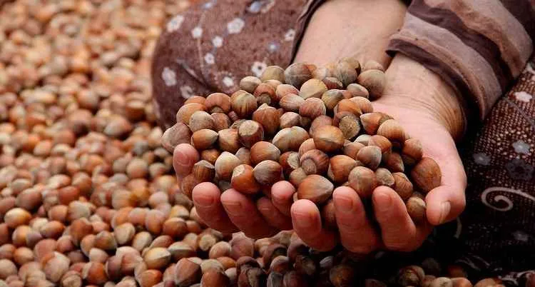 FİSKOBİRLİK’te fiyat 105 TL…