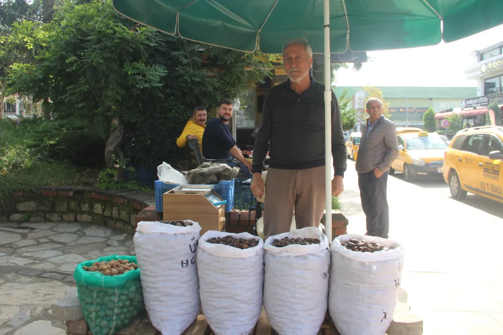 Kestane tezgahlarda, kışın ucu göründü… 