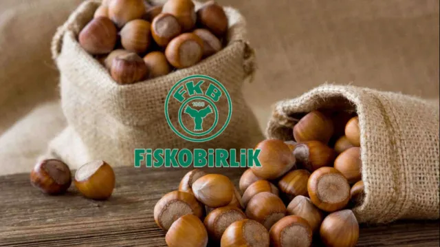 FİSKOBİRLİK 130 TL’den fındık alıyor 