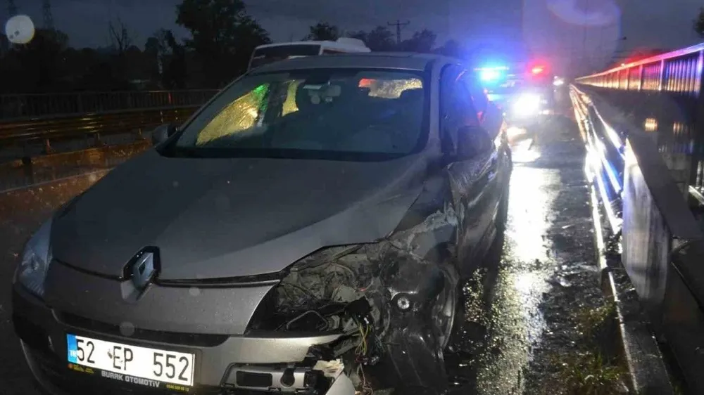 Kediye çarpmamak için çabalarken kaza yaptı; 2 kişi yaralandı 