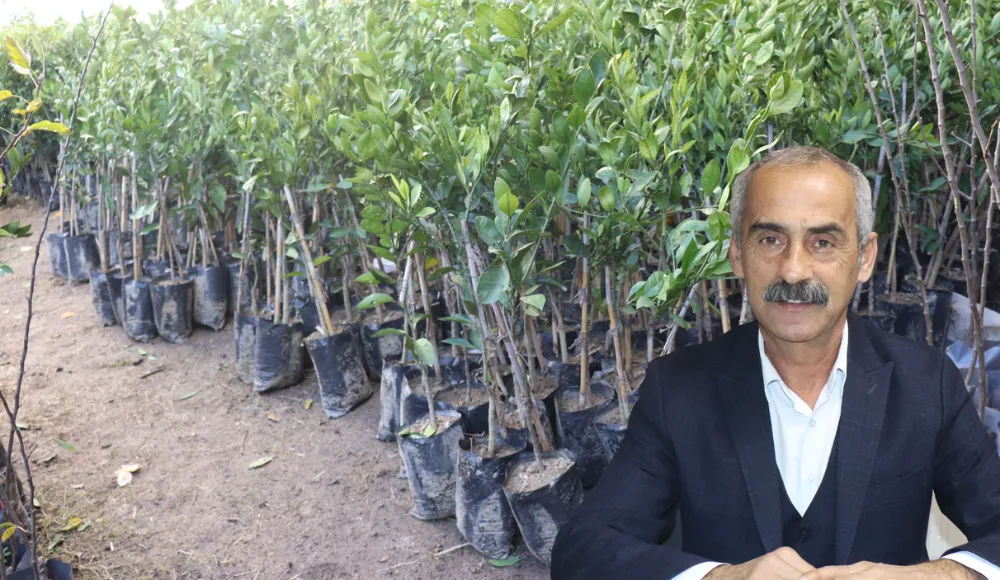 İklime dayanıklı fidanlar Ziraat Odası’nda… 