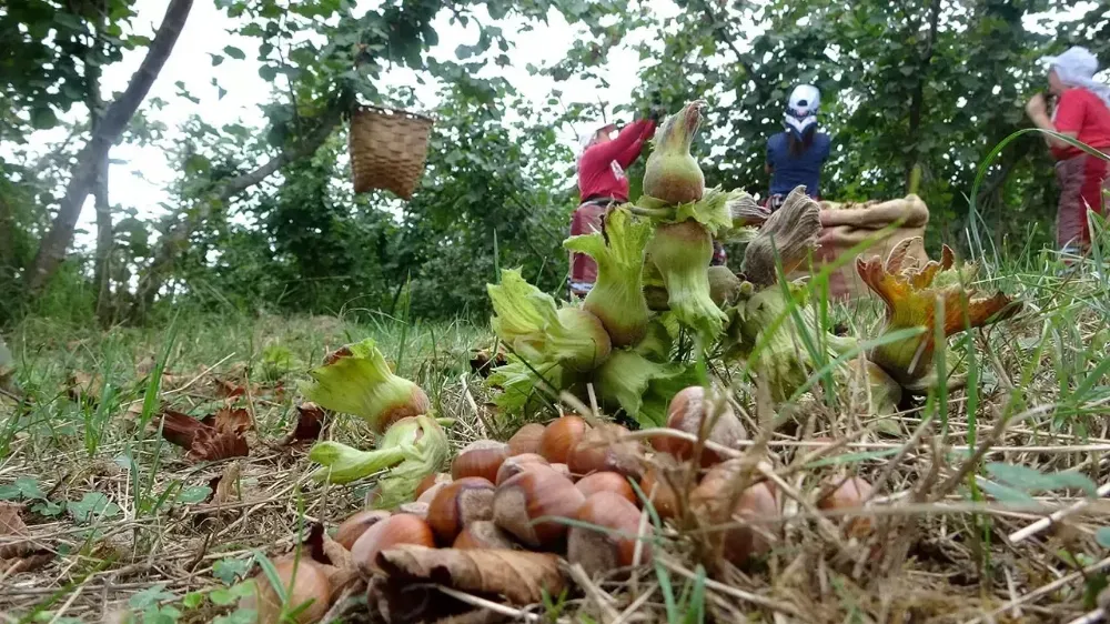 ÇKS için 31 Aralık uyarısı!