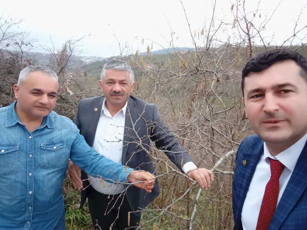 TMO’dan, püskül ve karanfile inceleme… 