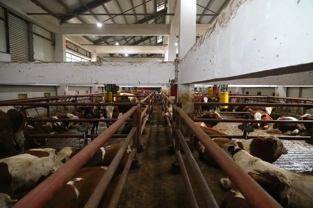 “Ordu’da tarım ve hayvancılıkta reform” 