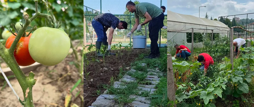 “Yeşil Beceriler”le hem üretiyorlar, hem öğreniyorlar… 