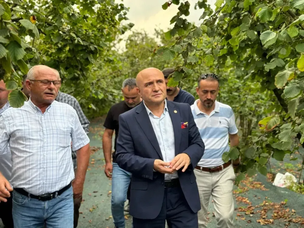 Erhan Usta uyardı; “Fındık tehlikede!”