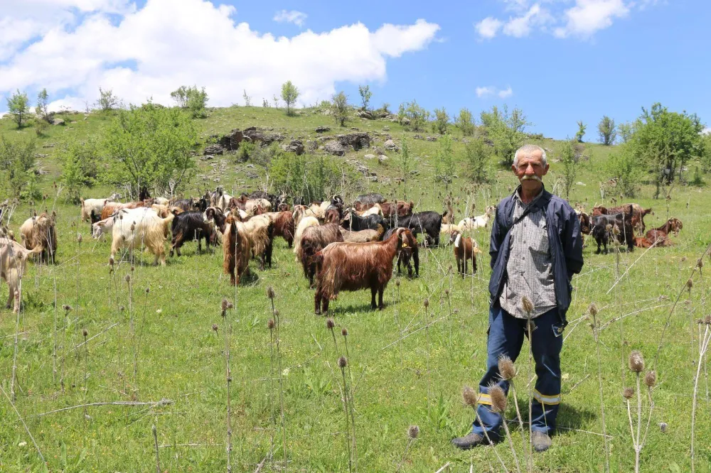 “Ordu’nun, tarım ve hayvancılıktaki çıtası yükseldi” 