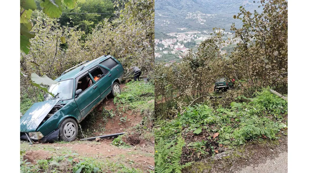 Araç fındık bahçesine uçtu