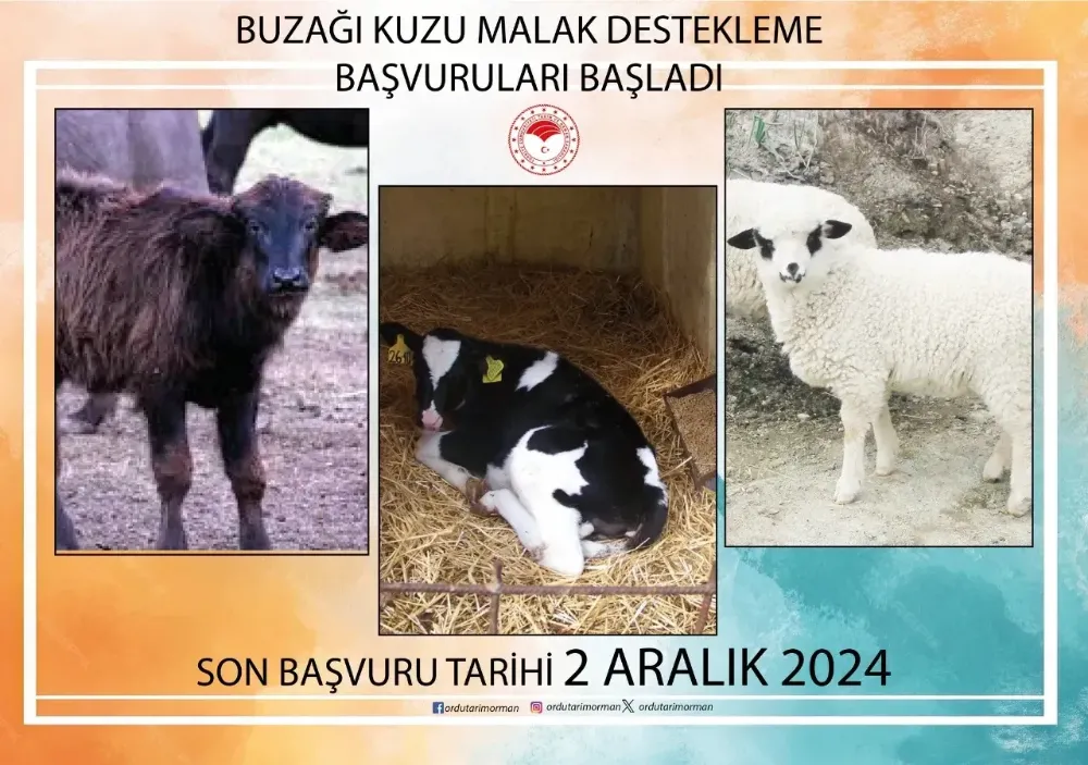 Başvurular için son tarih 2 Aralık!