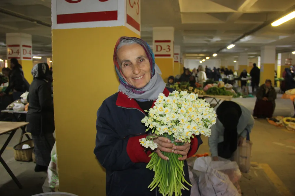 Kış çiçeği Nergis, kokusuyla cezbediyor