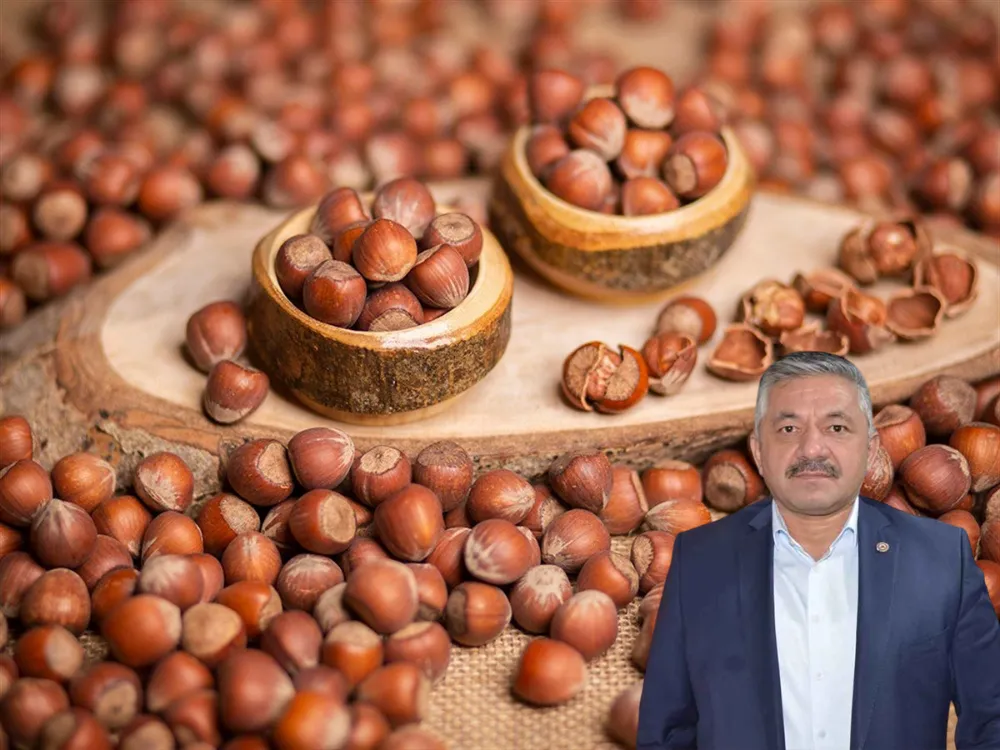 Fındık üreticisi 4 bin 200 lira hasar desteğini bekliyor!