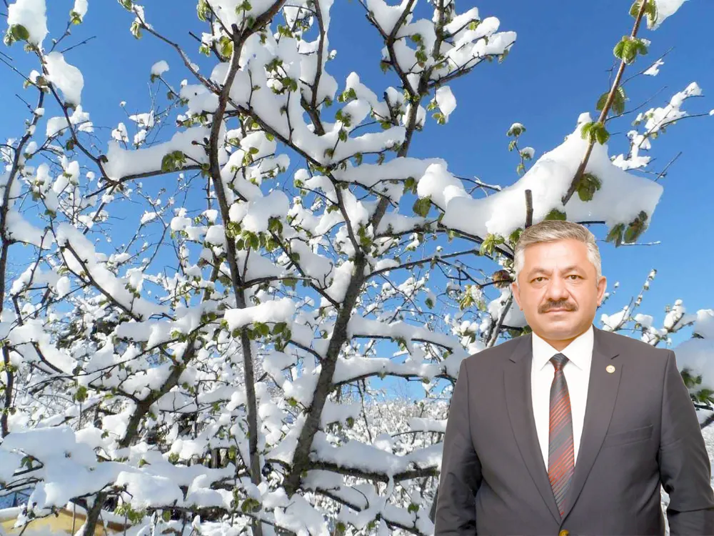 Ordu destekte ikinci takvimde!