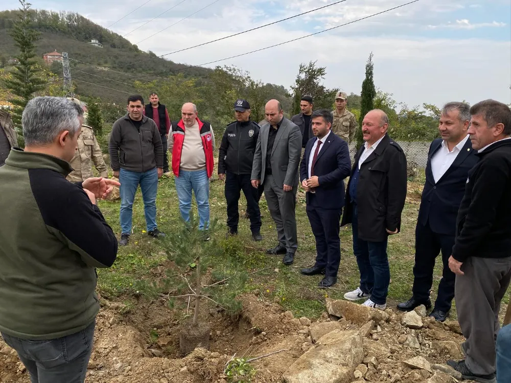 Çaybaşı’nda 11 Kasım Milli Ağaçlandırma Günü Etkinliği