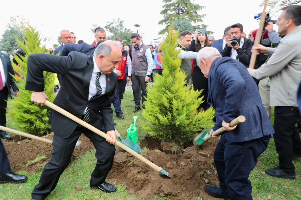 Ordu’da 350 Bin Fidan Toprakla Buluşturulacak