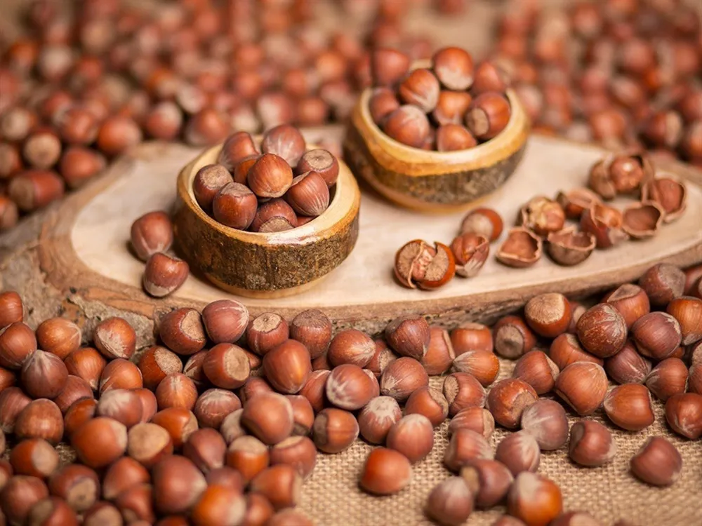 İhracatta düşüş!