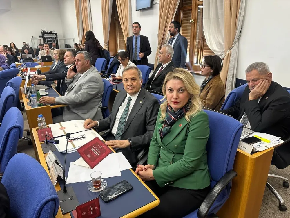 Bütçe ile yoksulluk yönetilmek isteniyor!