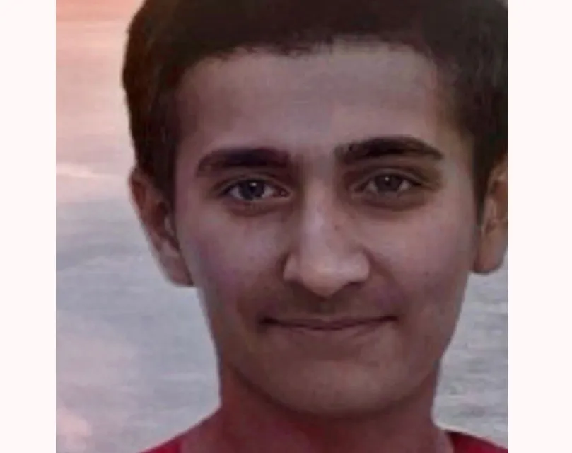 Pat pat devrildi, 3 kardeşten 1