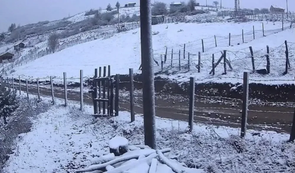 Kumru beyaza büründü…