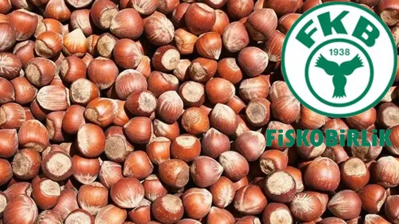 Fiskobirlik fındık fiyatlarını yeniden düşürdü
