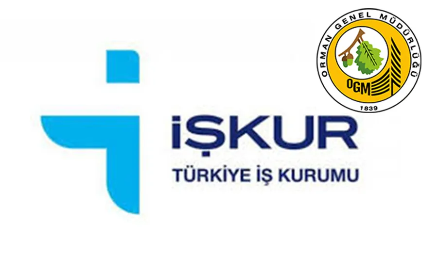 Ordu Orman İşletme Müdürlüğü