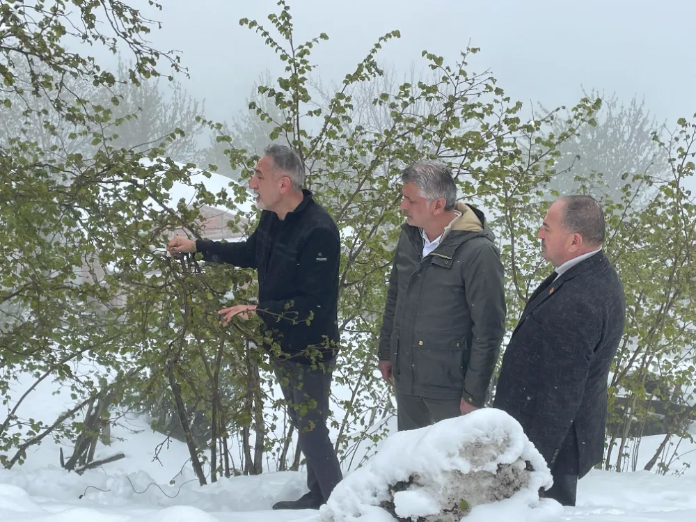CHP’li vekiller fındık için sahada!