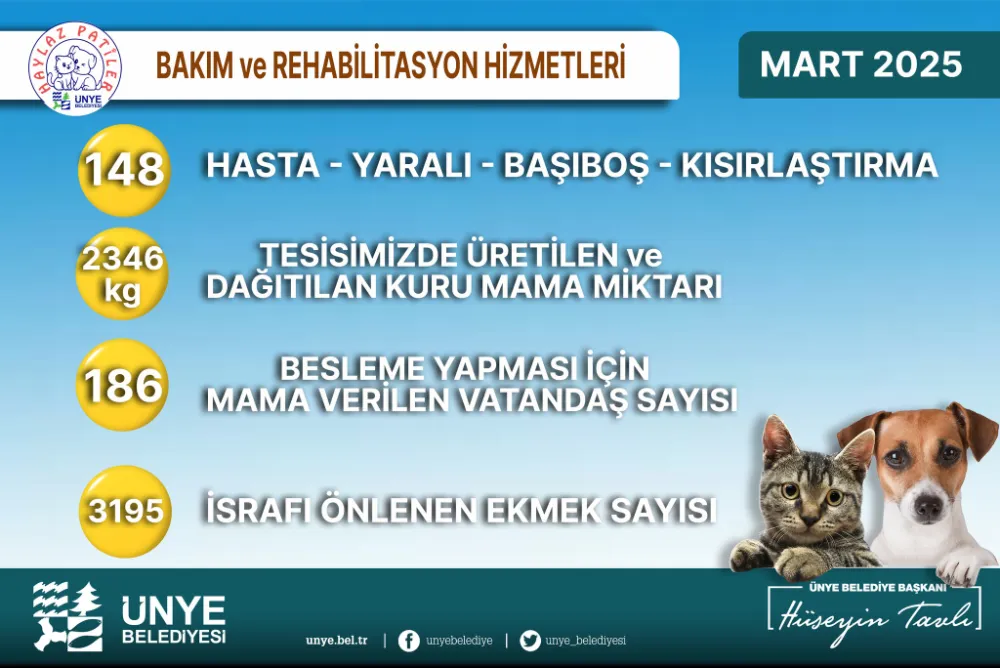 Ünye Belediyesi Haylaz Patiler ekibi can dostlar için çalışıyor… 
