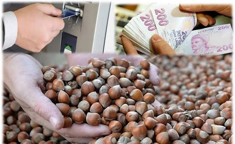 Alan Bazlı Gelir Desteği, bu akşam hesaplara yatıyor! 