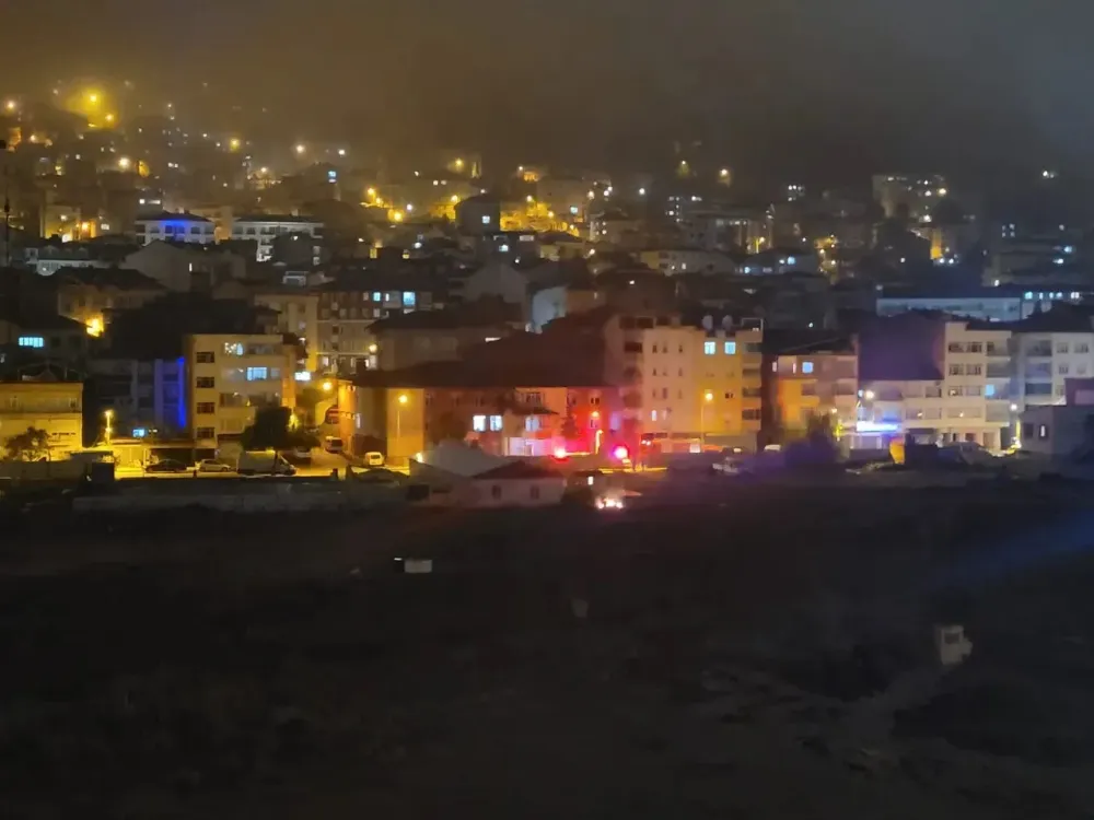 Ordu Millet Bahçesi’nde yangın korkuttu! 
