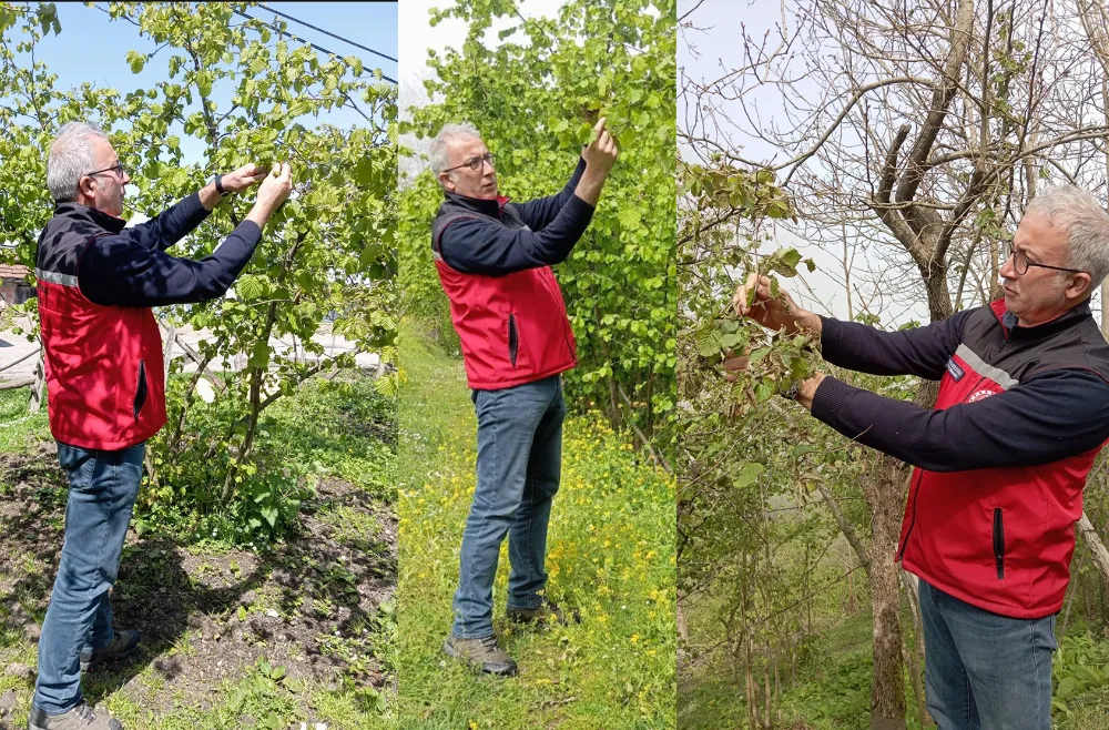 Zirai don yaşayan üreticiye ihbar çağrısı!