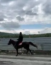 Naci Şanlıtürk