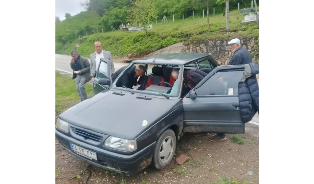 Karaca, seyir halindeki otomobilin üzerine atladı