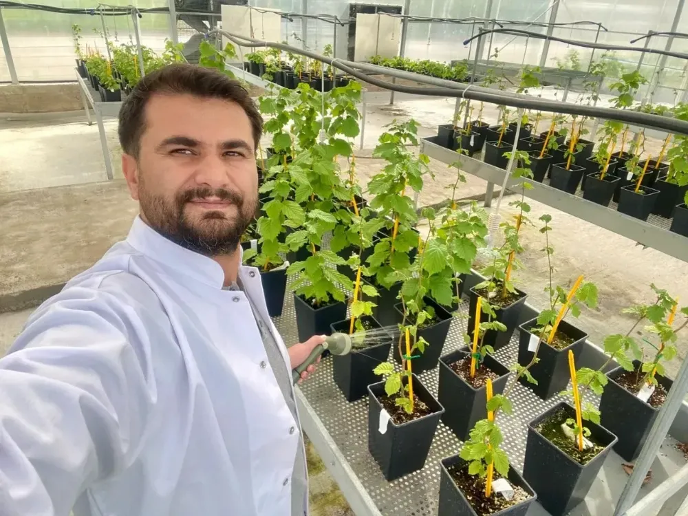 Fındıkta önemli çalışma!