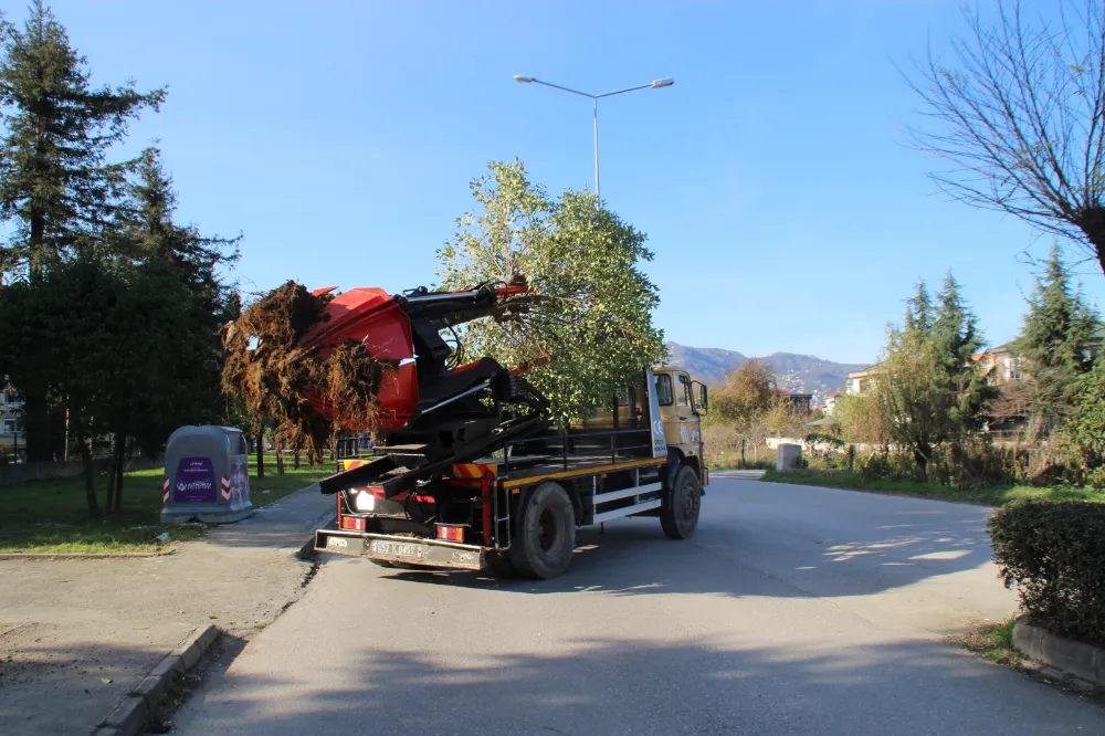 Ağaçlar yeni yaşam alanlarına nakledilecek