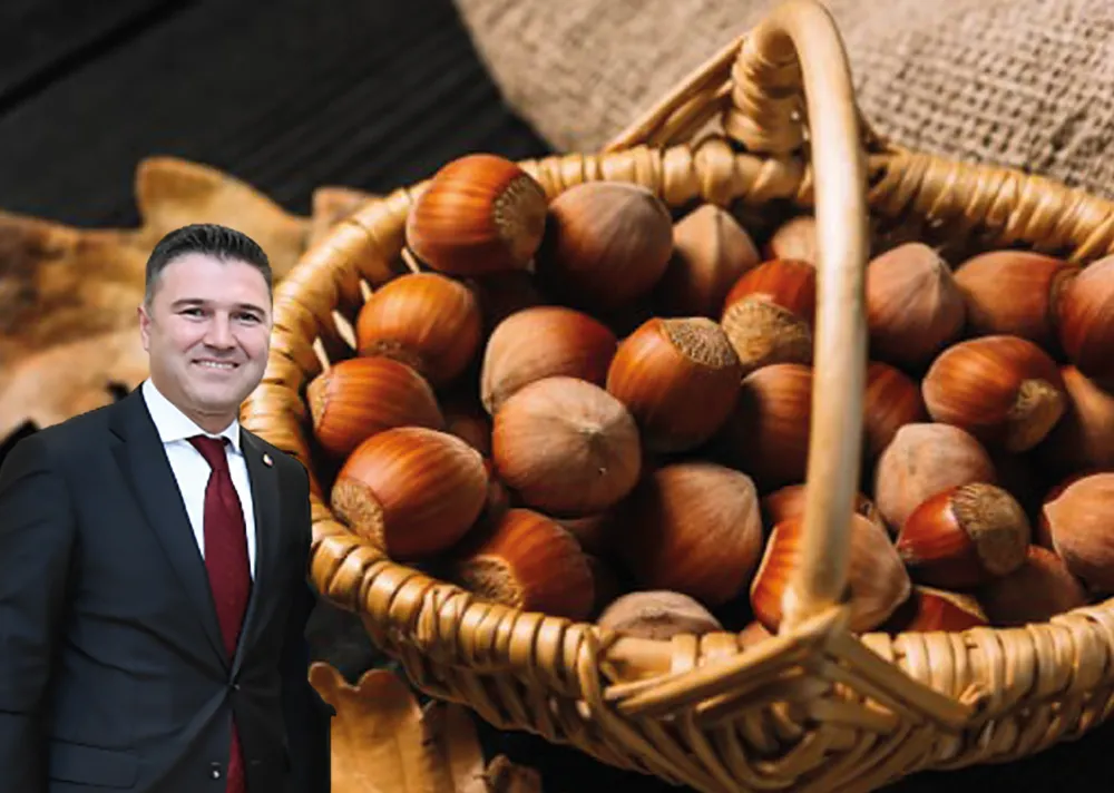 Türk fındığı dünyayı fethediyor
