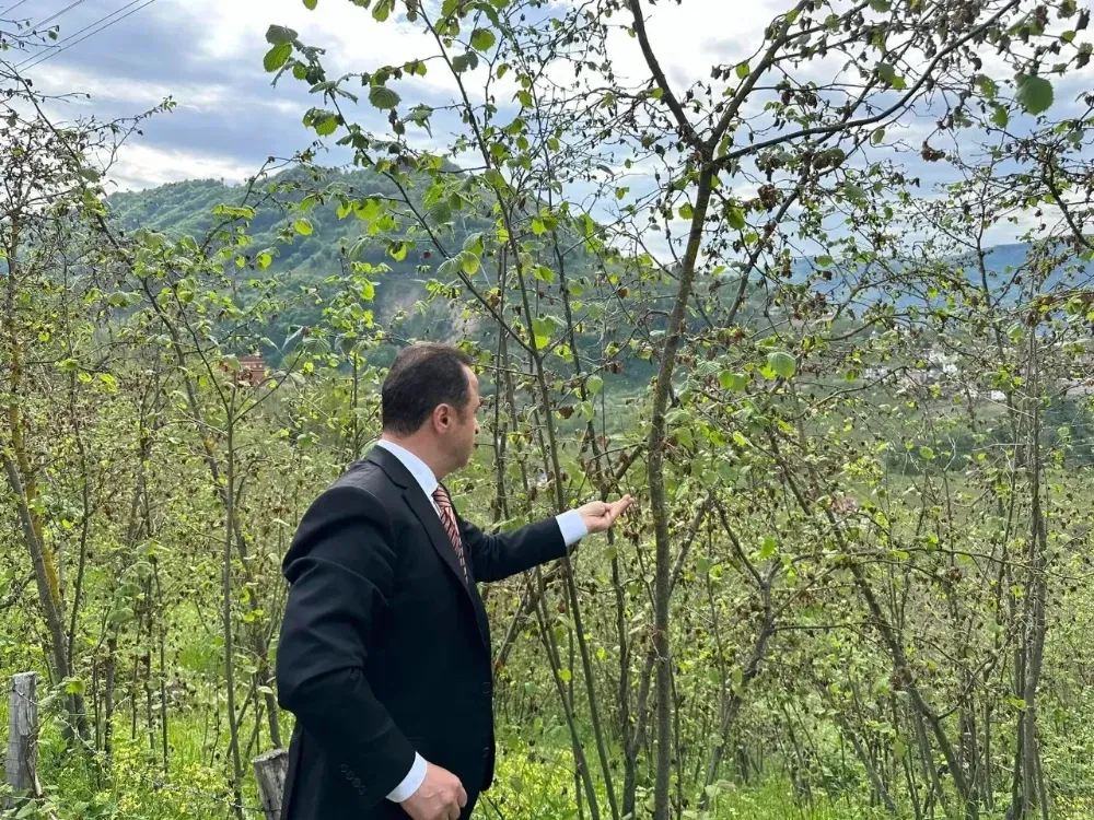 Milletvekili Şanlıtürk: “Üreticimiz çok ciddi zararlarla karşı karşıya!”
