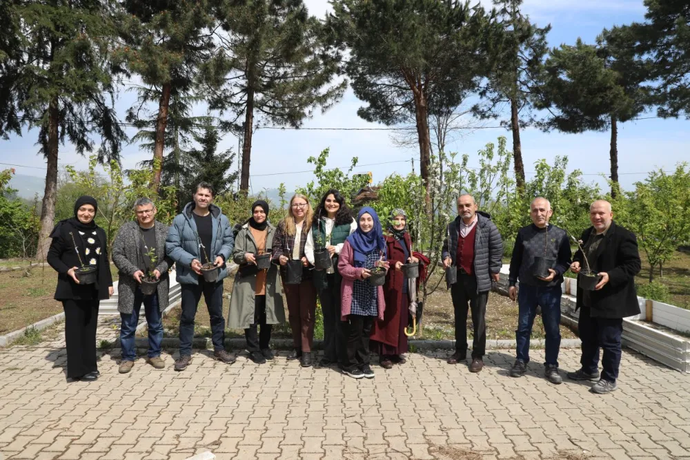 Meyve ağaçlarında verimliliği artırmak için kolları sıvadılar!