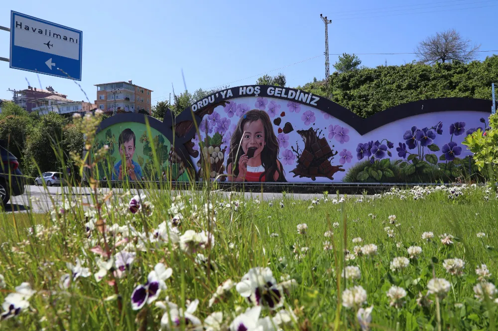 Ordu’nun renkleri duvarlarda canlanıyor